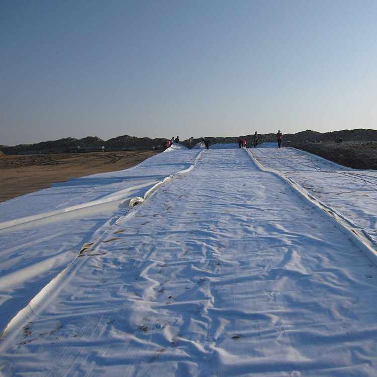 Geotextile Fabric Filament Polyester Geotextile Cost Per Square for Construction in Chile