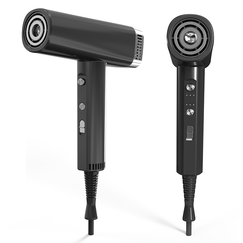 Negative Ion Professional Powerful High-Speed Electric Hair Dryer with Constant Temperature for Home Use