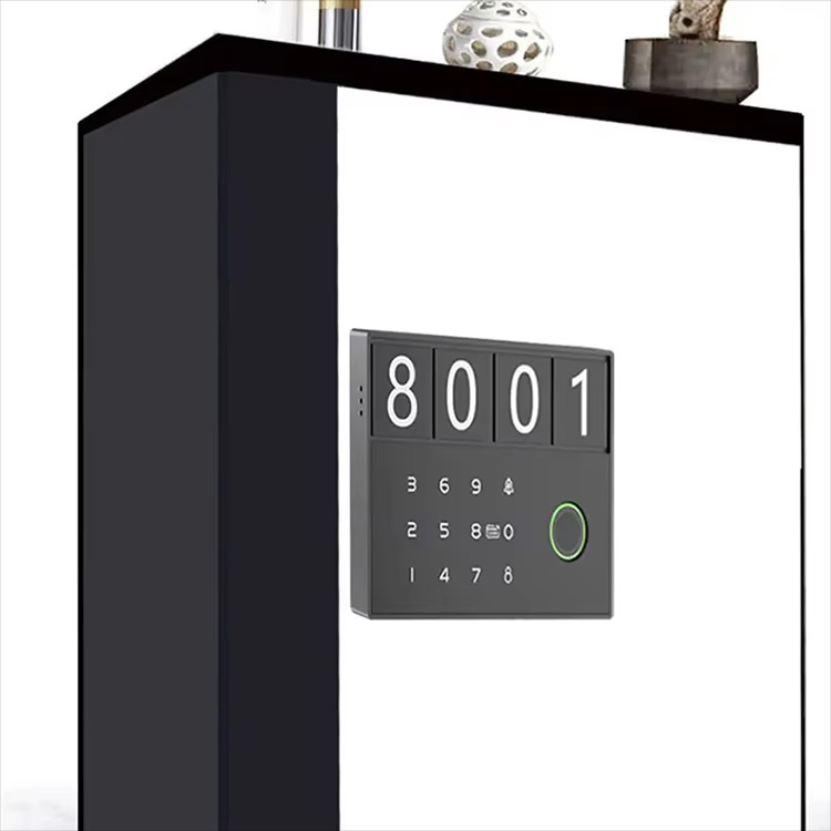 Ttlock Bluetooth Wardrobe Furniture Sauna Cabinet Lock