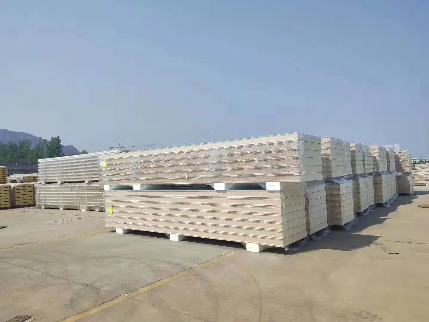 Low Cost EPS Cement Sandwich Wall Panel for Prefabricated Home