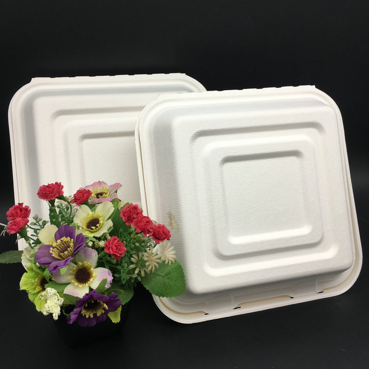 10 Inch Bagasse Lunch Box with 3 Compartments