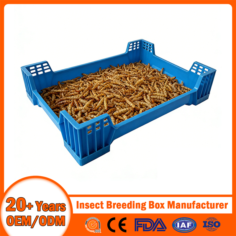 China Plastic Insect Breeding Box Manufacturer Stackable/Attached Lid/Nestable/Lobster/Bale Arm/EU/Euo Moving Mesh Turnover Logistic/Bread/Egg/Beer Tote Box