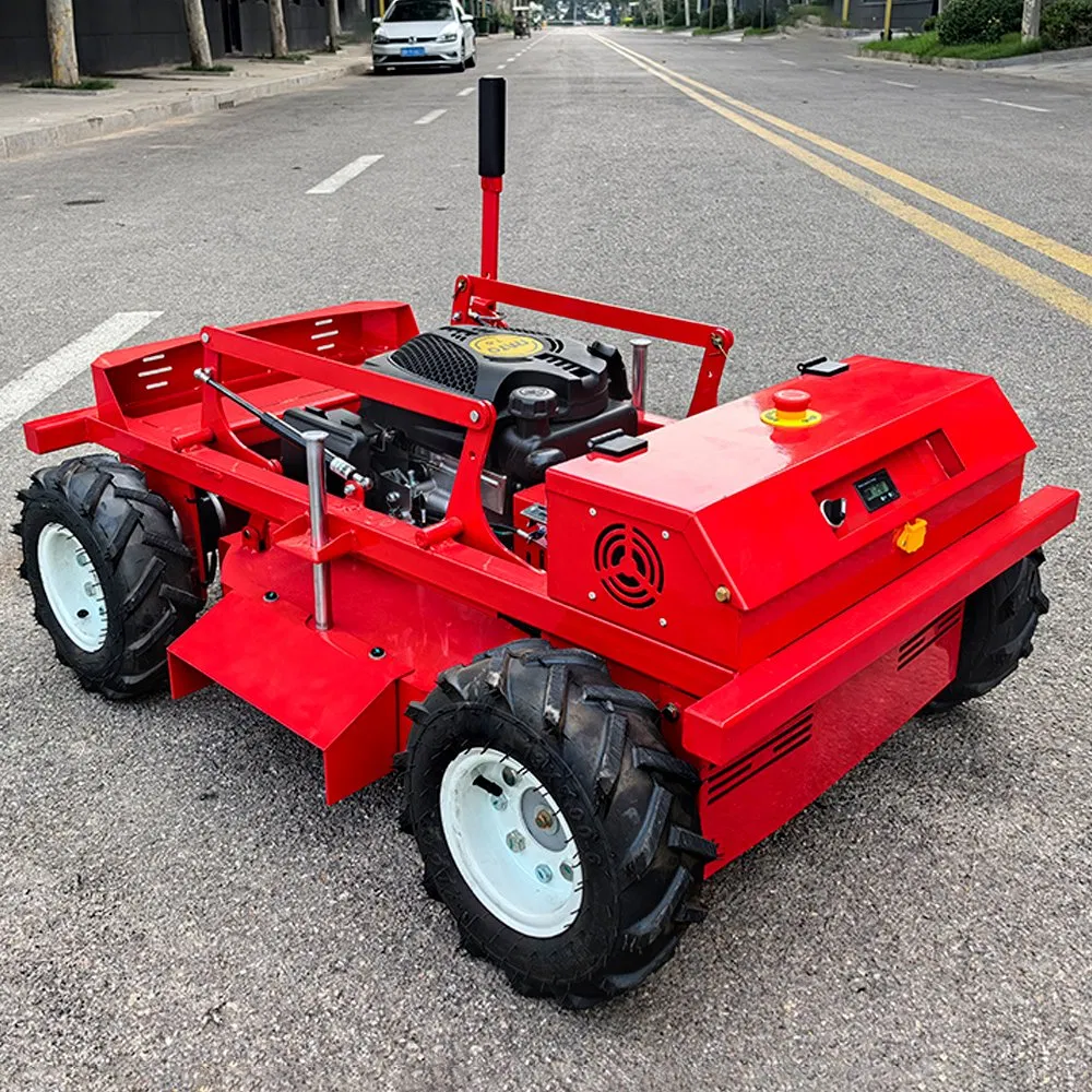 High-Performance 196cc Lawn Mower for Commercial Hotel Landscaping