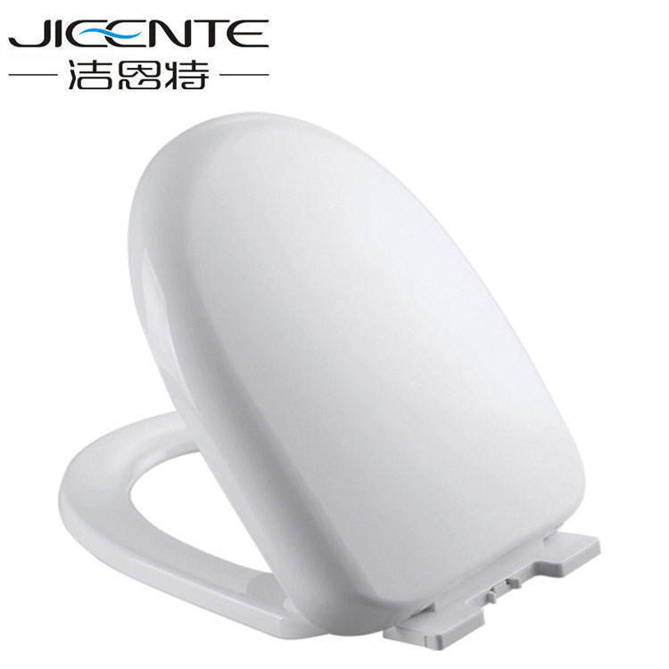 Toilet Seat with Soft Closed