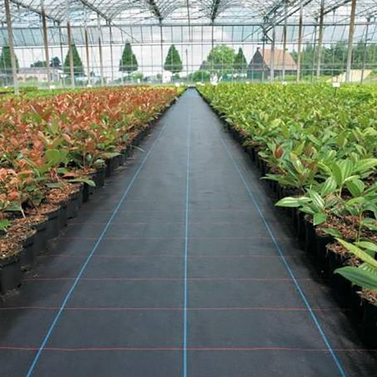 Good Quality UV Stabilized Weed Control Mat Ground Cover PP Woven Fabric Roll