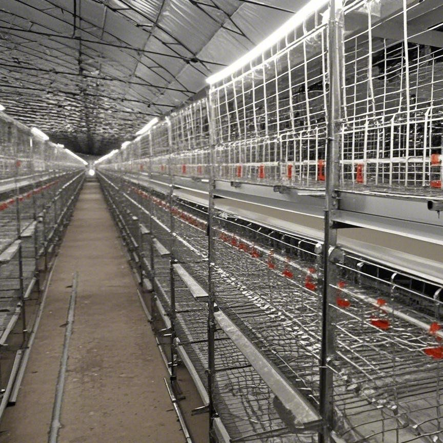 Large Span Steel Structure High-Quality Customized Good Workshop