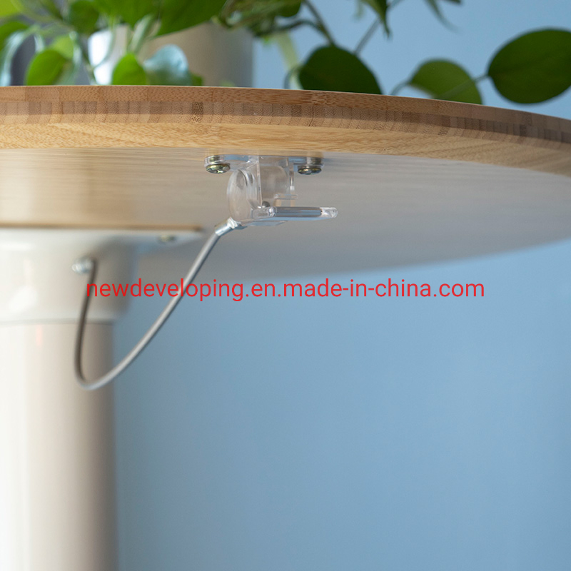 Eco Friendly Natural Bamboo Top Gas Spring Desk