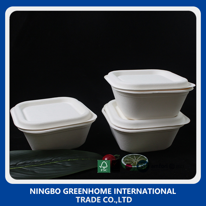 Biodegradable Compostable Dinner Set Sugarcane Bagasse Lunch Box