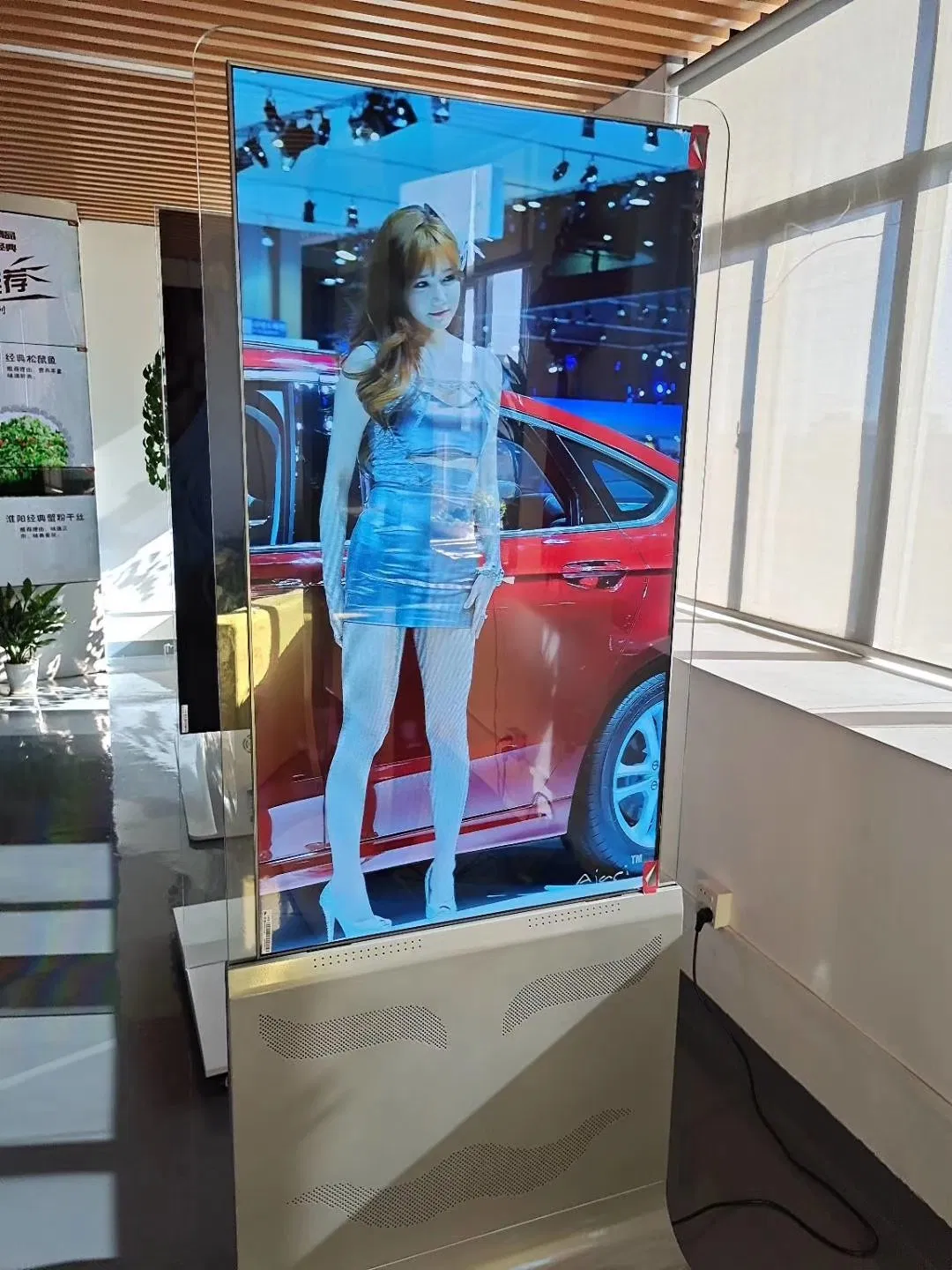 Factory 55 Inch OLED Screen Double Transparent Digital Signage OLED Window Display