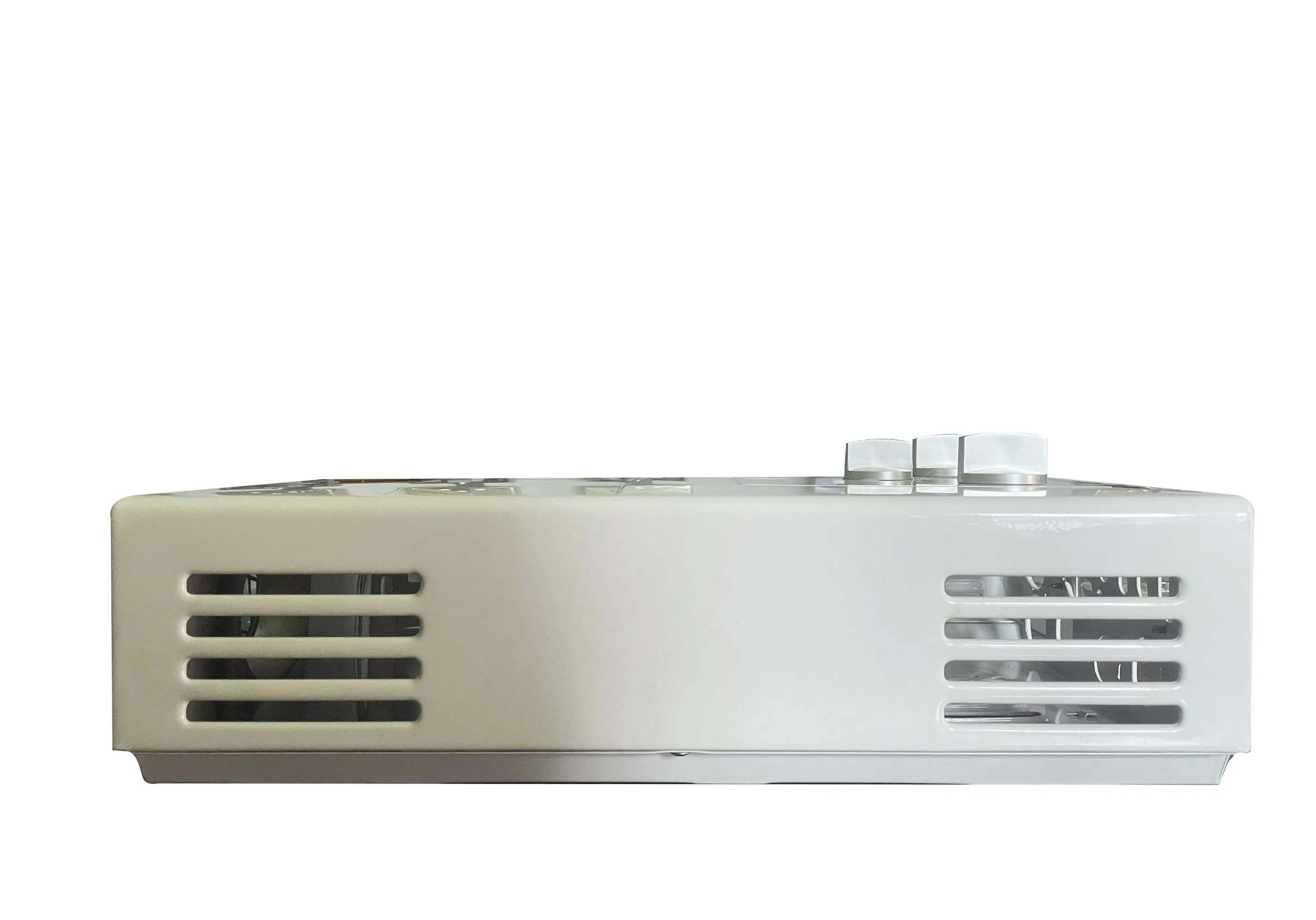 Flue Type 6L Wall Mounted Tankless Instant LPG/Ng Gas Water Heater