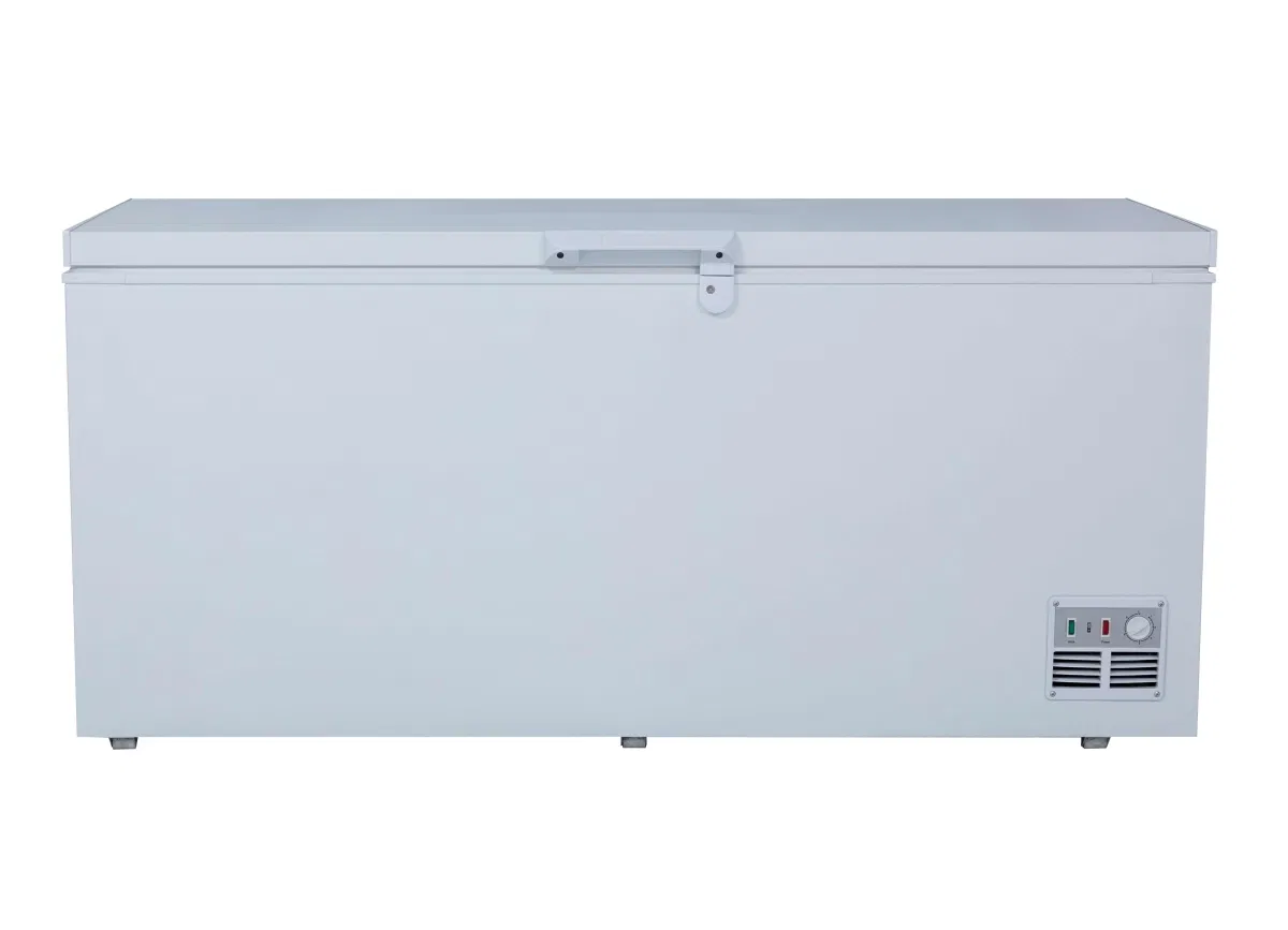 Морозильный ларь BD-651 605 л, 2 двери, -18°C