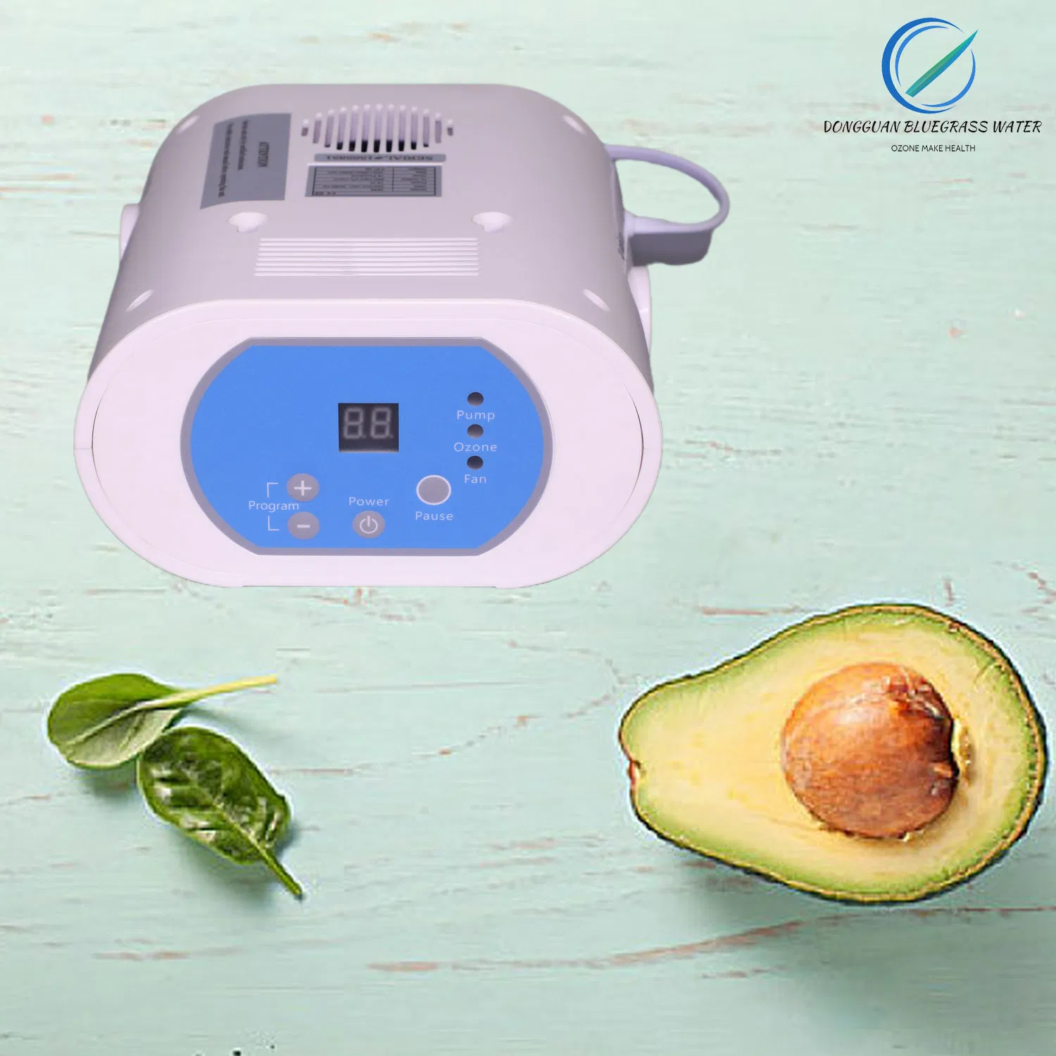 O3 800mg/H Household Water Sterilizer Portable Machine Food Purifier Ozono Generator