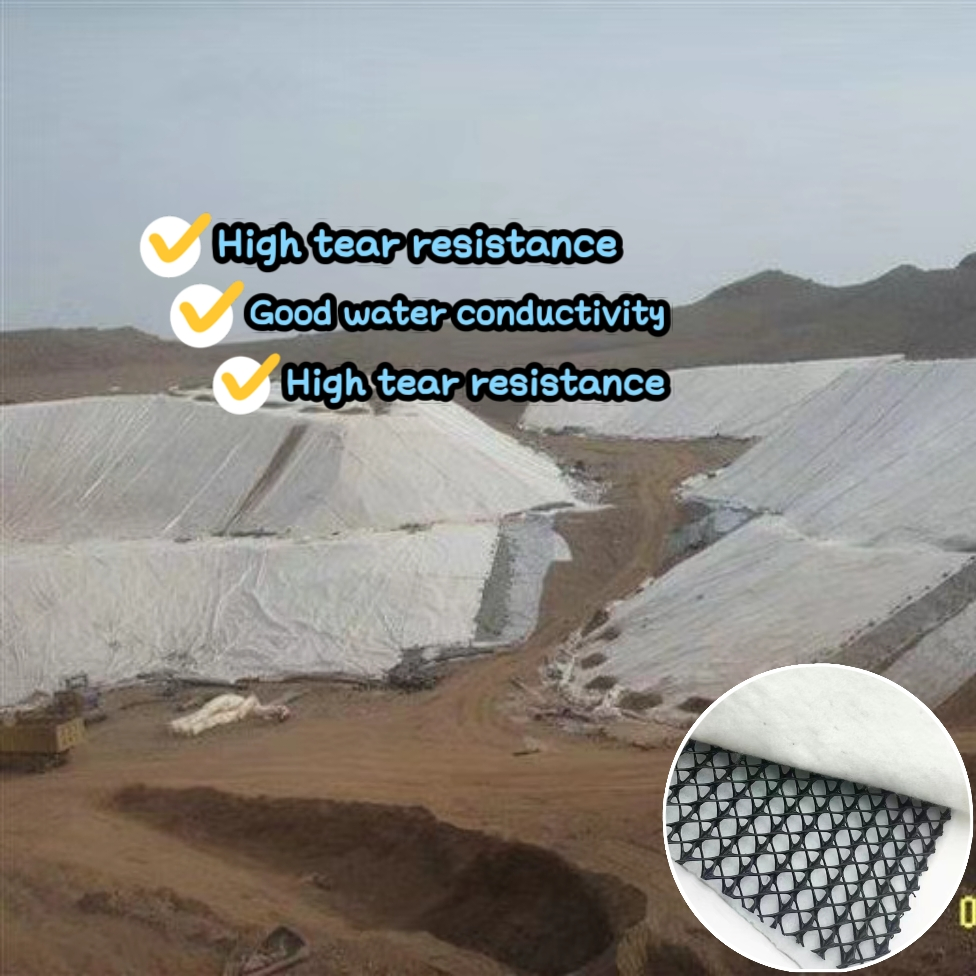 Long-Lasting 3D Composite Geonet for Subway Tunnel Drainage - Durable & Unyielding