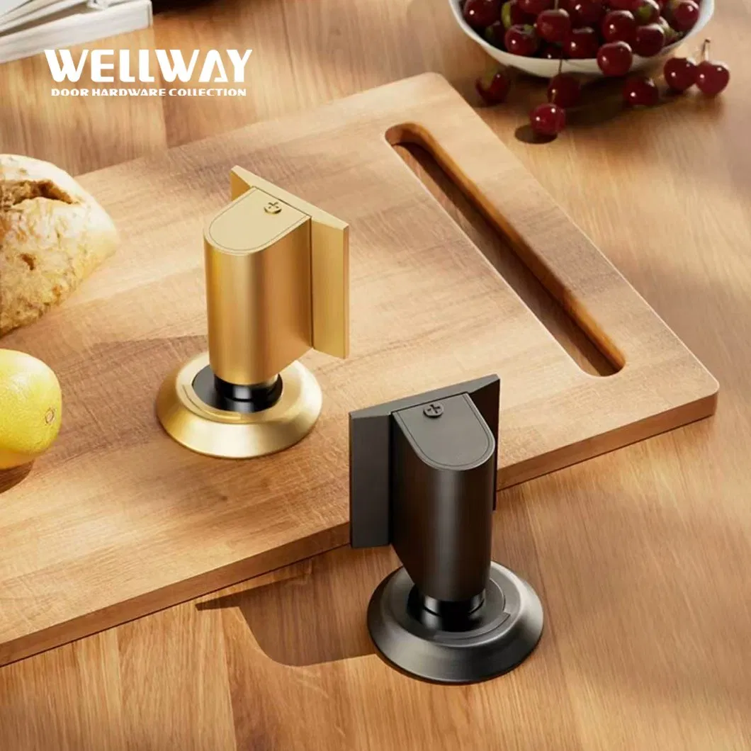 Brushed Black Zinc Alloy Adjustable Floor Mounted Door Stopper with Concealed Base Design for Modern Residential Spaces China OEM - Ds-02-026