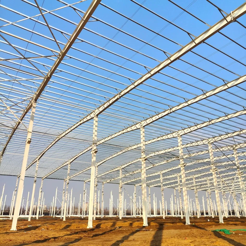 Large Span Hangar Steel Structure Warehouse Prefab Building for General Storage.