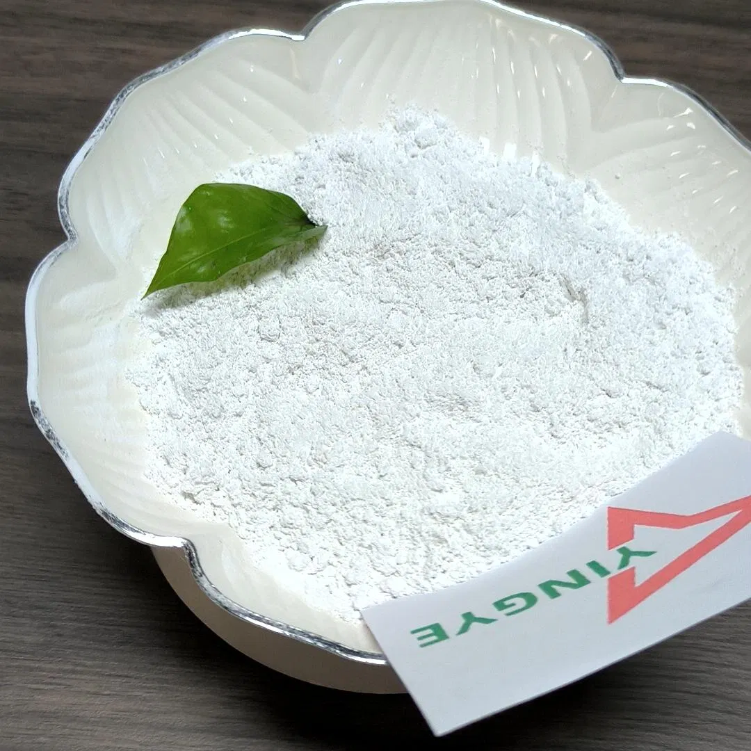 HPMC/Mhec/HEC Best Price for Tile Adhesive, White Cement Based Wall Putty