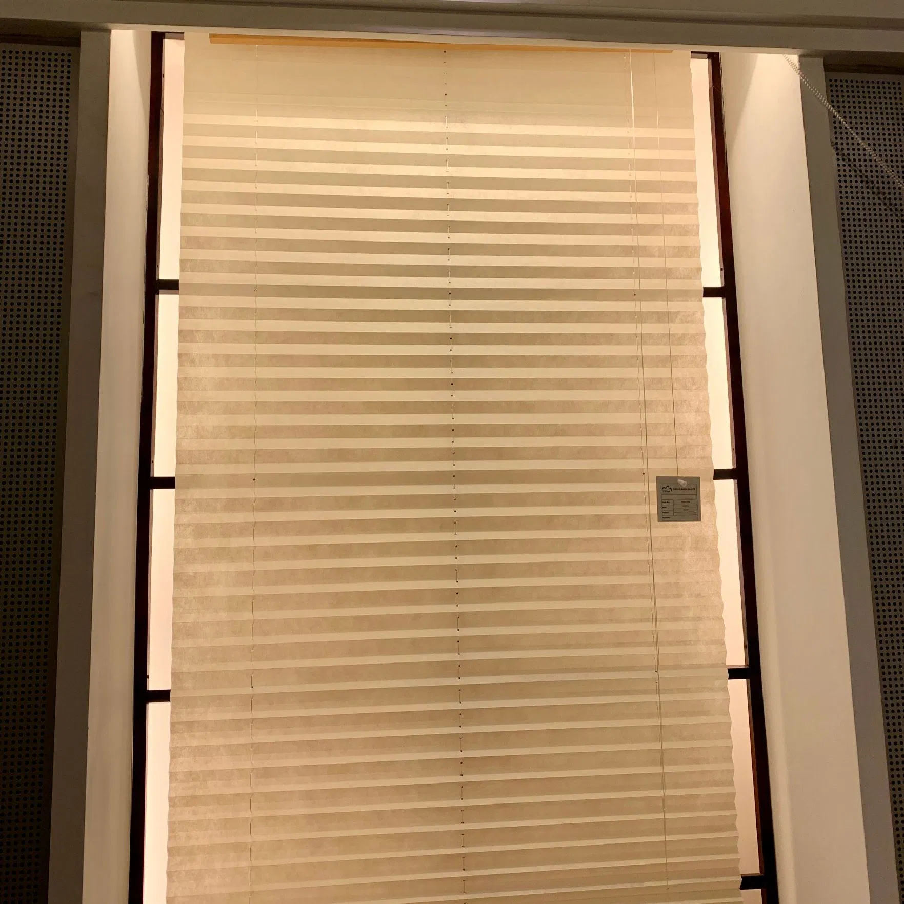 Pleated Shades Bead Chain Manual Pleated Blinds Fabric Window Shades Blinds