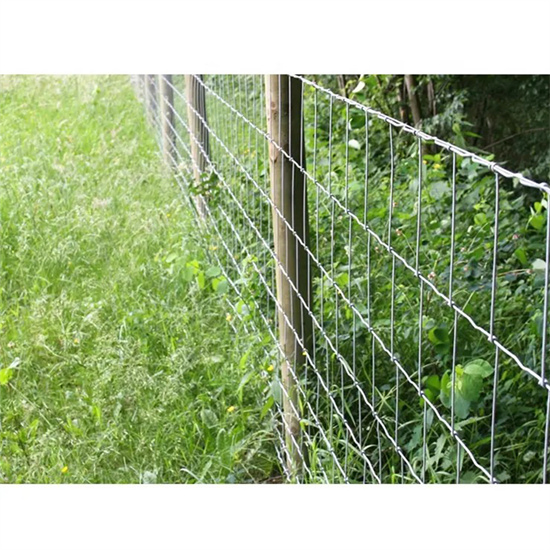 Hot Sales for High Tensile Fixed Knot Steel Wire Cattle Farm Fence Galvanized Field Fence Made in China Farm Cattle Fence