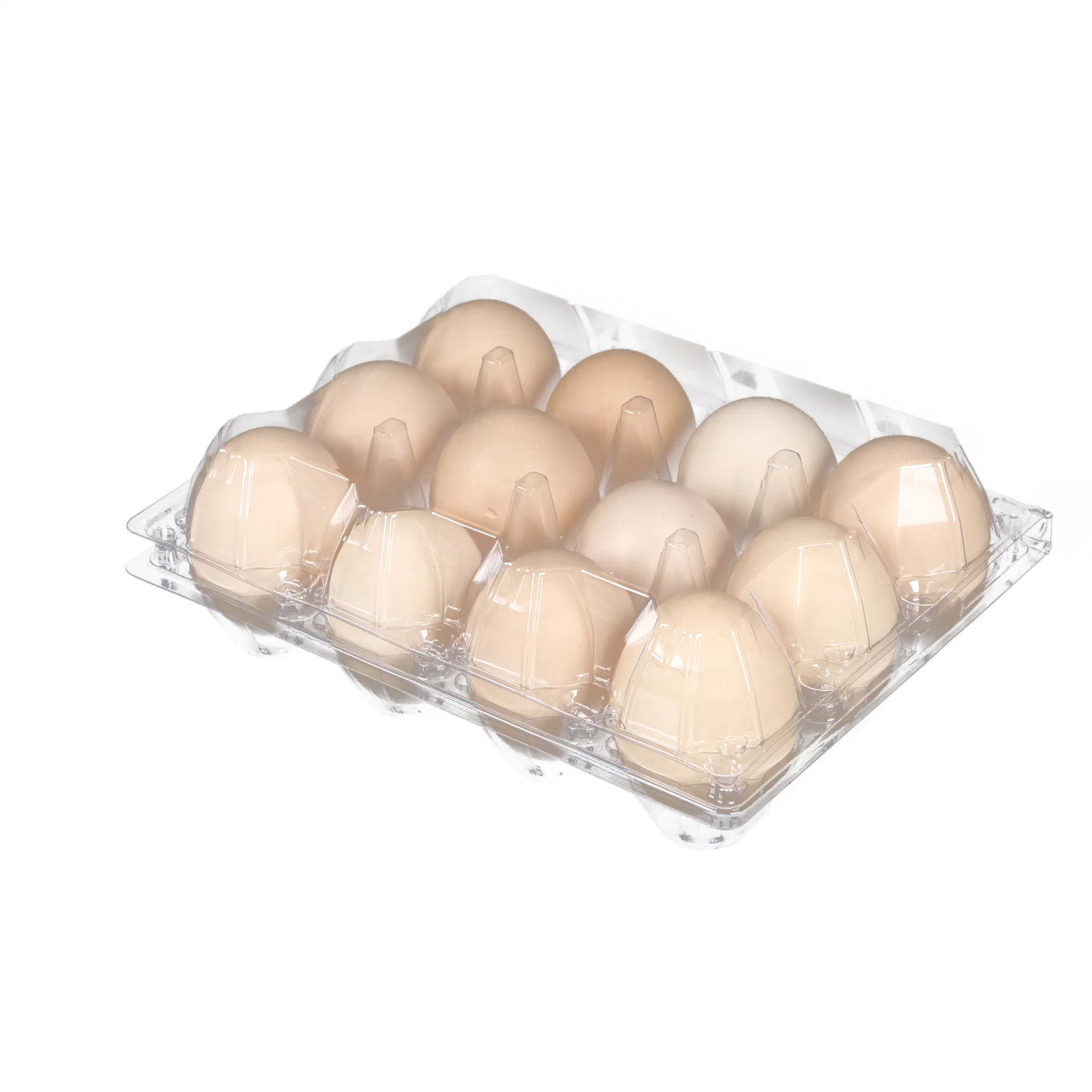 Large 12 Cells Plastic Chicken Egg Carton in 3*4 Shape