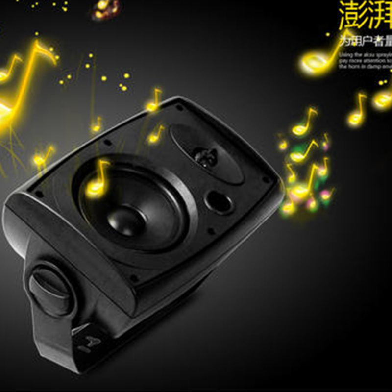 Paper Cone Wall Mount Speaker Ws-3205