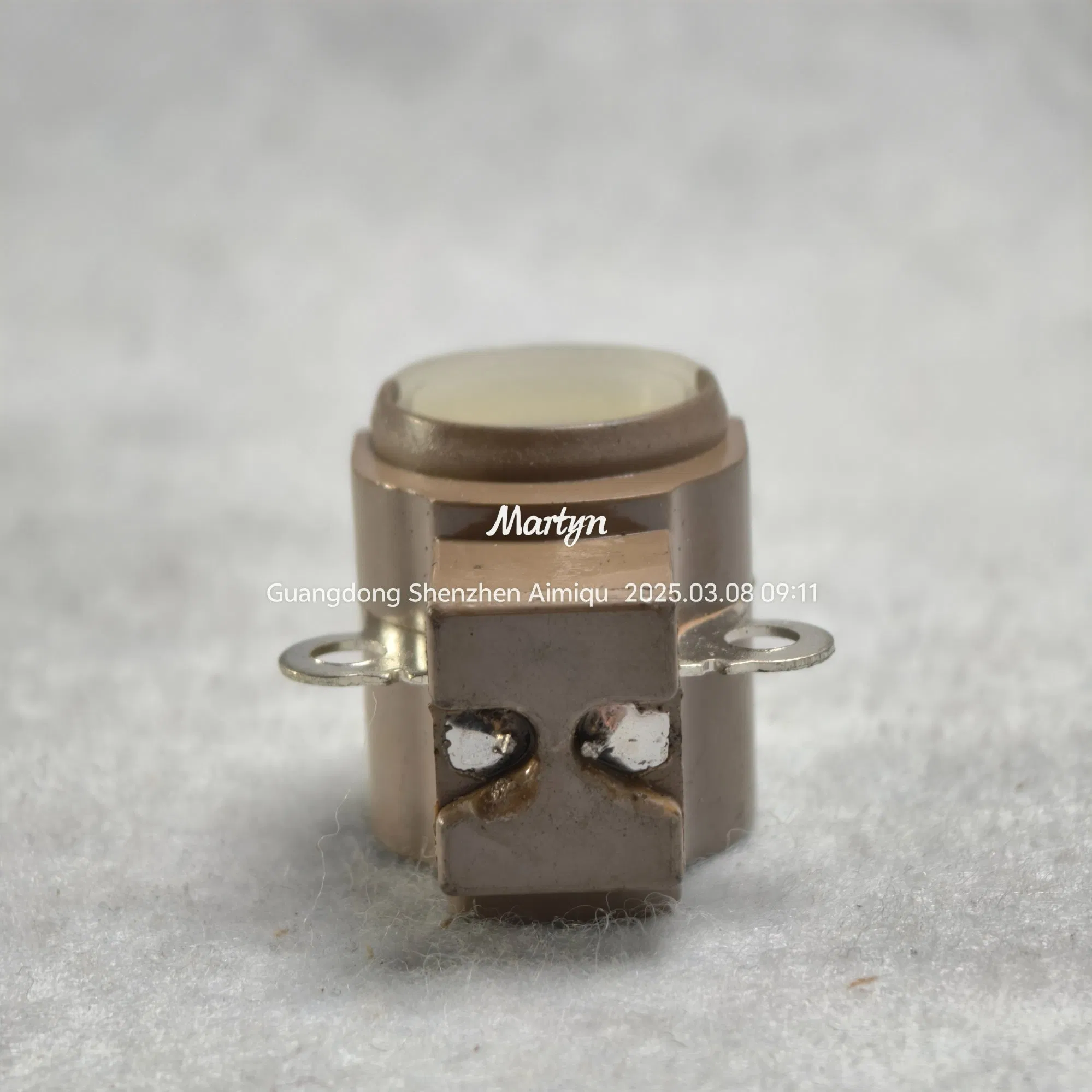 Inb8206 Brush Holder for Automotive Generators for Land Rover and Lexus Generators