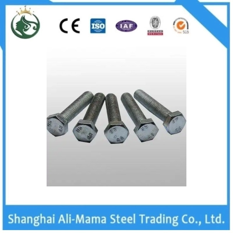 Structural Material Stainless Steel Nut Grade 4.8/8.8/10.9/12.9 China Supplier