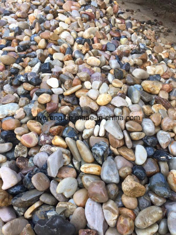 Natural Multi-Colors Oval Pebble Stone for Paving Garden