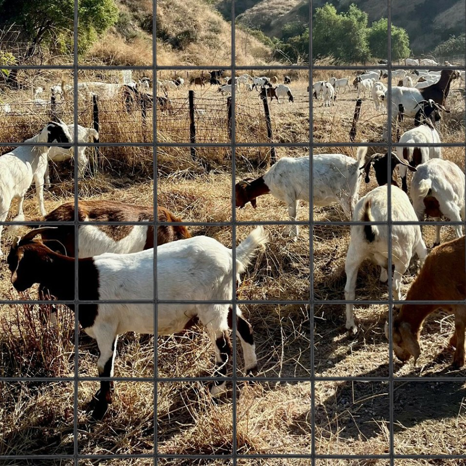 Portable to Transport and Install Simple Infrastructure Euro Fence