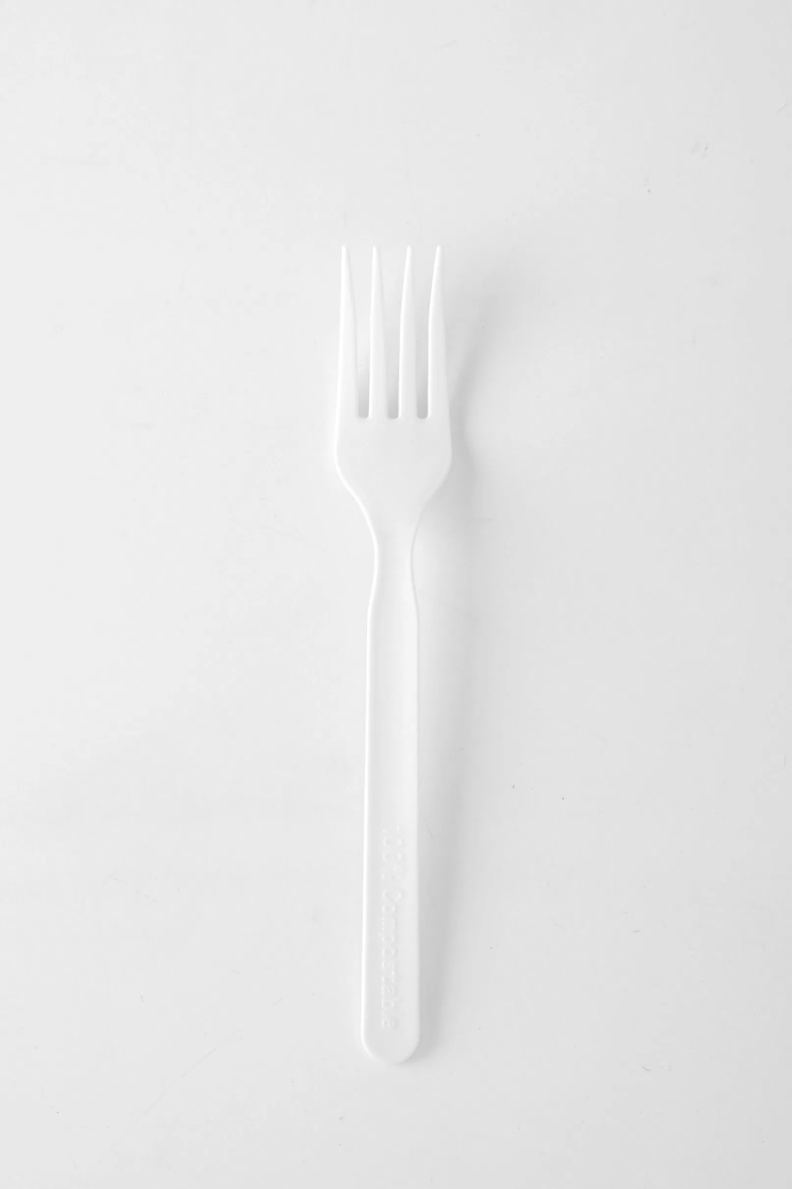 Биоразлагаемые тарелки из багассы для еды