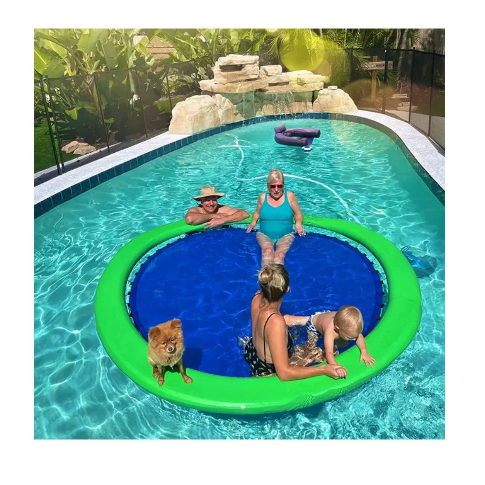 Swimming Pool Floating Dog Dock Ramp