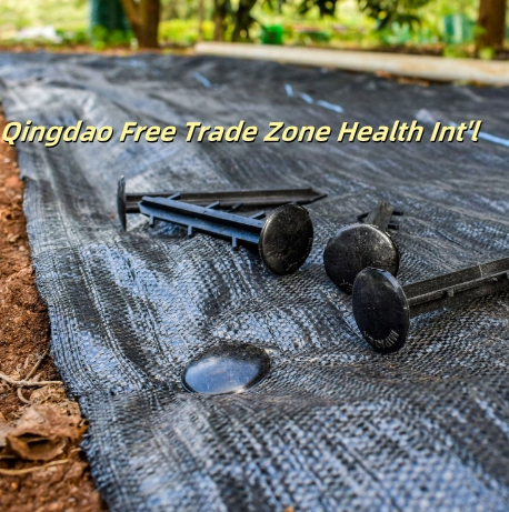 New Type Premium Garden Plastic Clip