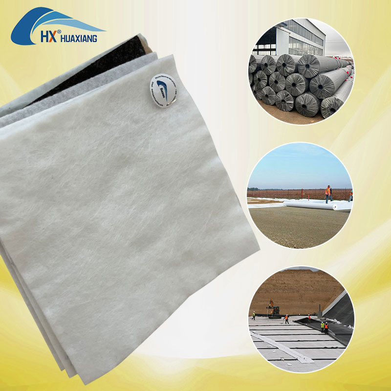 High Quality Polypropylene/Polyester Fabric Non Woven Geotextile for Road Construction