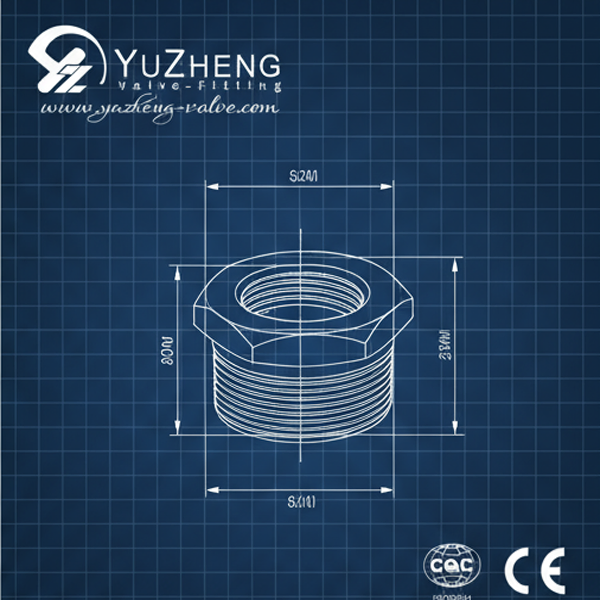 Stainless Steel Industrial Hex Bushing