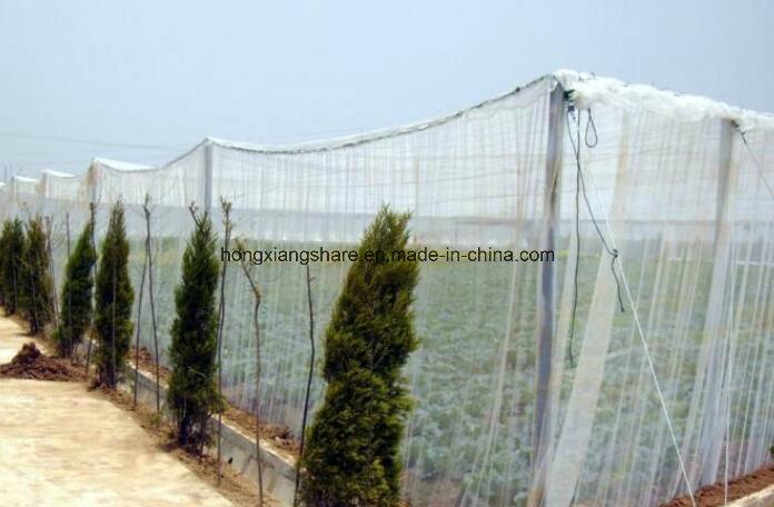 Greenhouse Netting Anti Fly Insect Net for Vegetable Gardens