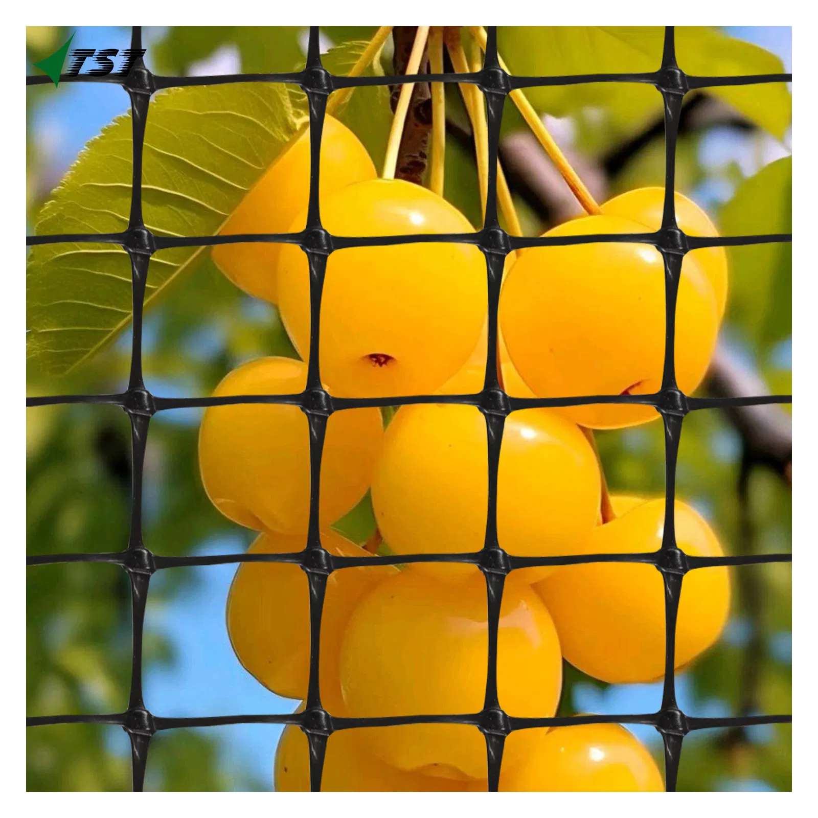 8GSM 10GSM 12GSM Plastic Extruded Oriented PP or PE Poultry Chicken Aviary Protection Mesh Fence Bird Cage Netting