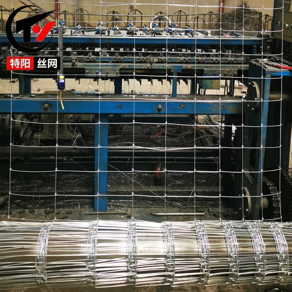 High Quality 2 Inch*4 Inch S Knot Farm Filed Fence Deer Horse Sheep Fence for Farmyard Metal Mesh