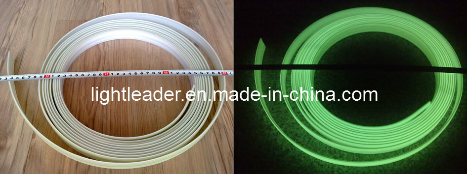 Rubber Stairs Strip