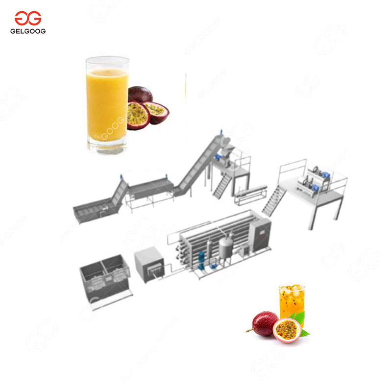 Fruit Juice Extractor (GGJE-5)