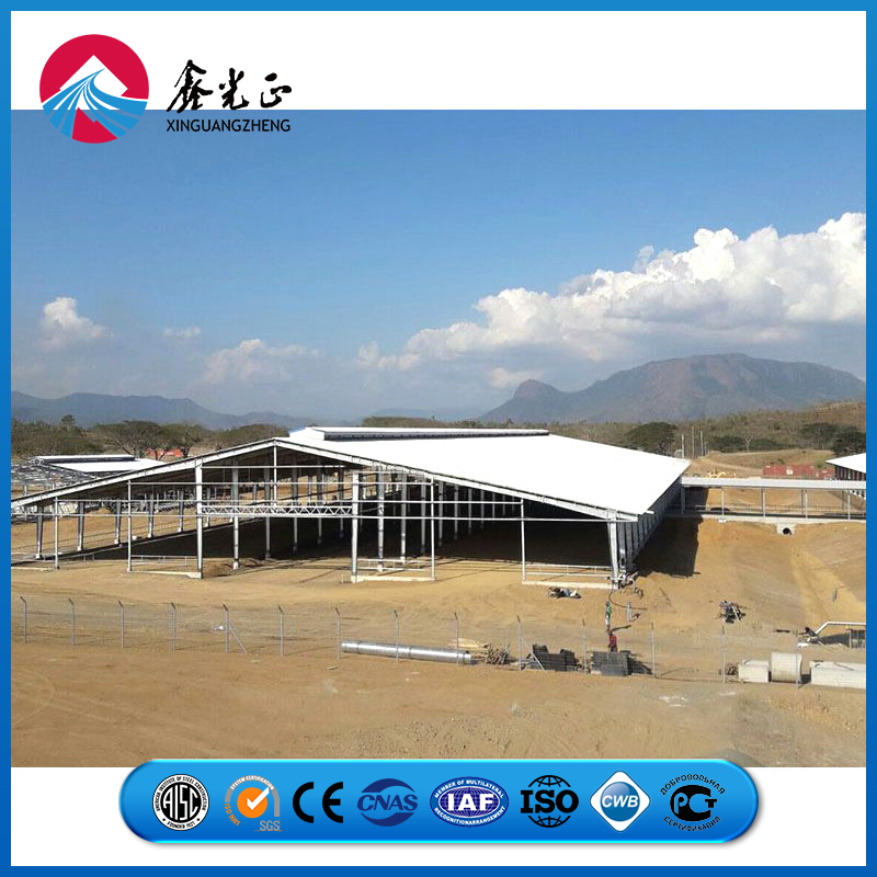 Steel Column Flange Joint Frame Chicken Prefab Metal Farming Equipment Steel Structure Sheep/Goat/Pig/Hog/Cattle/Cow/Poultry House/Shed