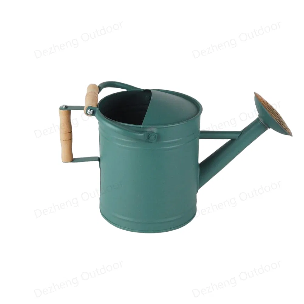 Watering Can Plant Watering Perfect for Indoor Outdoor