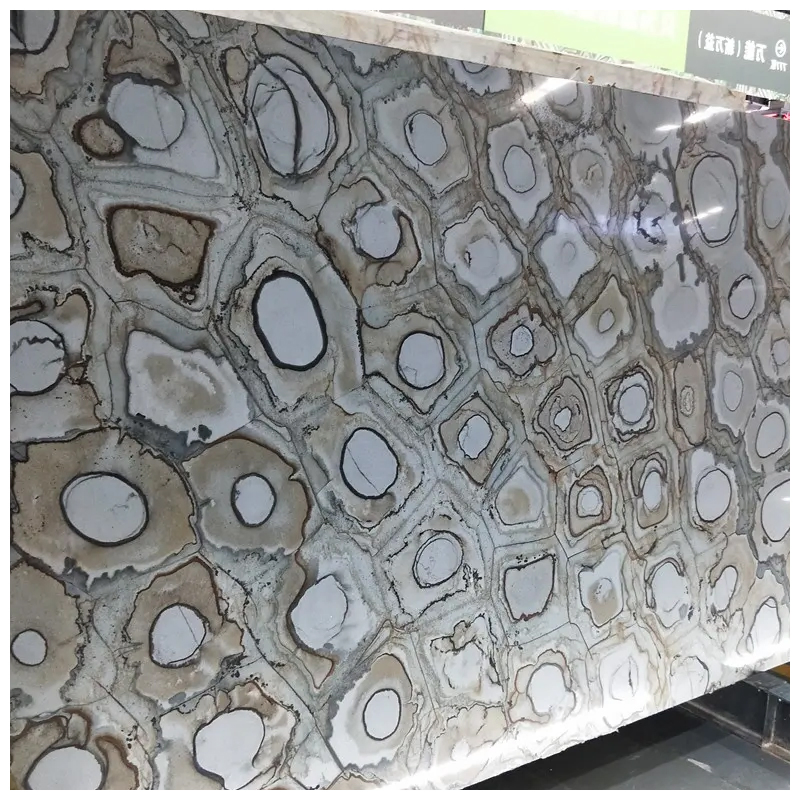 Brazilian Exotic Fossil Velours Quartzite Slabs for Countertops and Walls