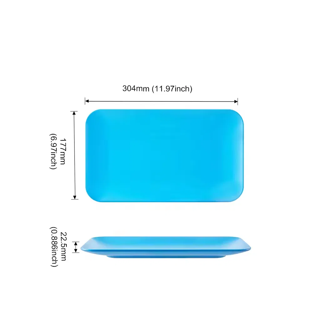 Custom Small Foodgrade Kitchen Microweable Plastic RPET Food Serving Tray