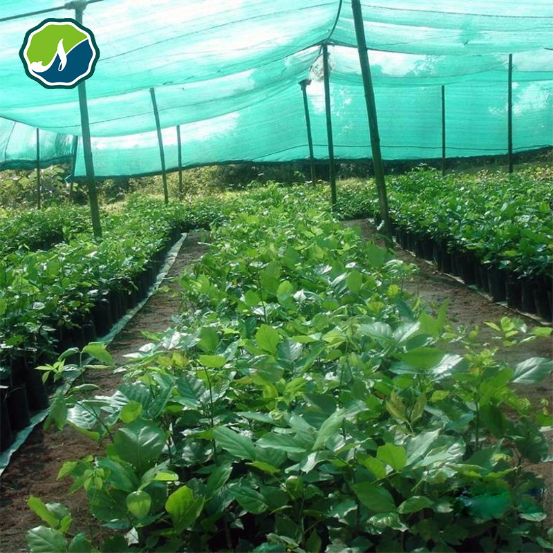 Black Mesh Sun Shade Net for Greenhouse/Crop Protection Nets/Greenhouse Shadow Mesh