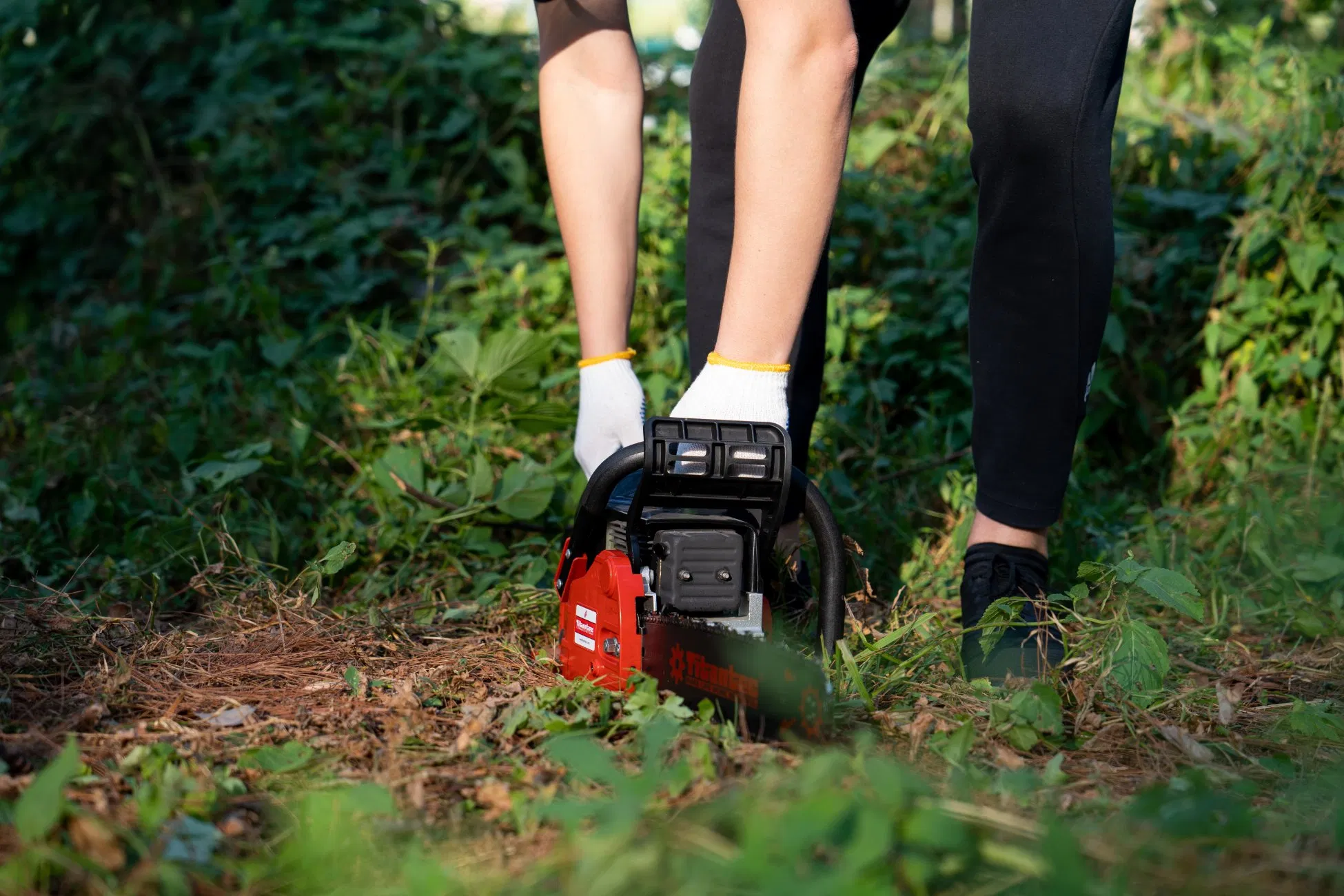 Wood Cutting New Structure 1.6kw 40.2cc Chain Saw