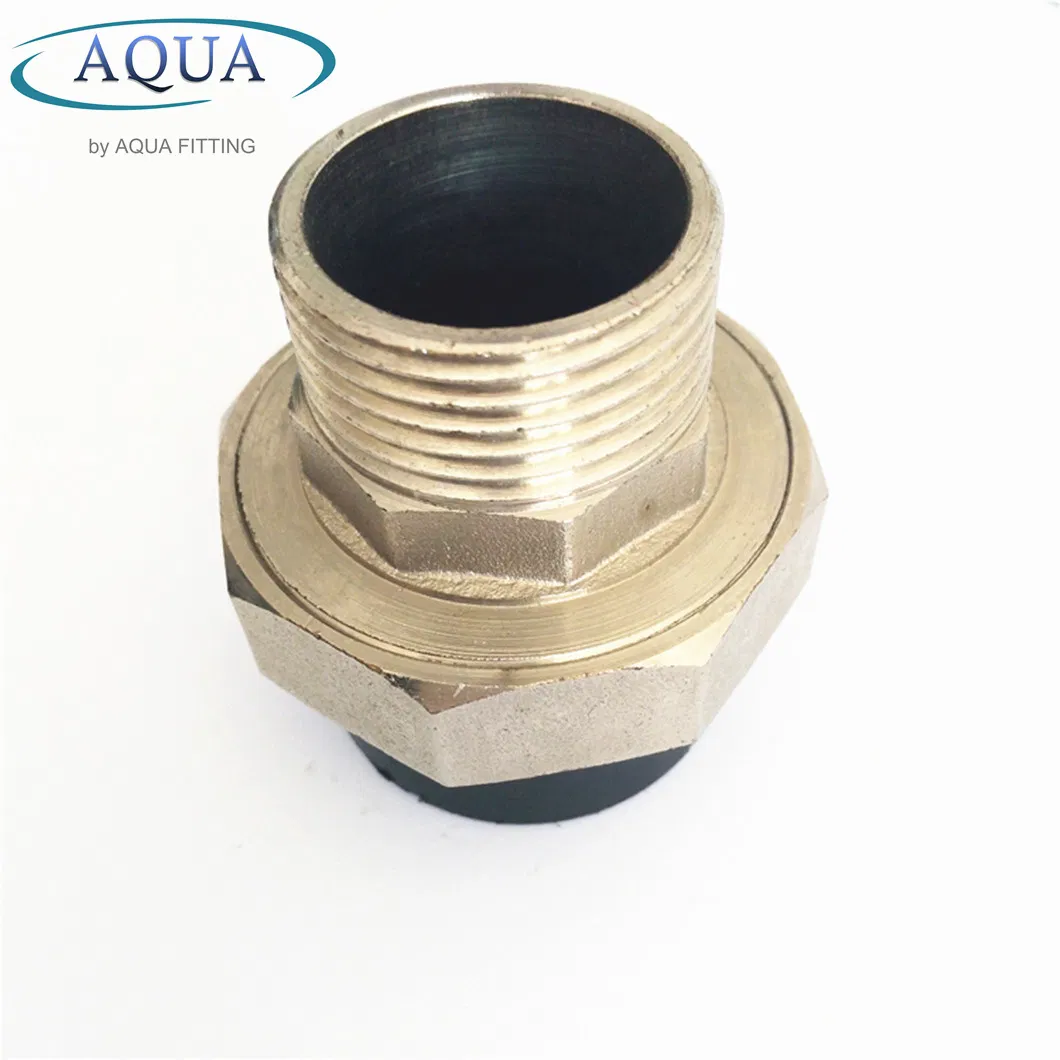 HDPE Welding Socket PE Fitting Male Thread Union High Quality