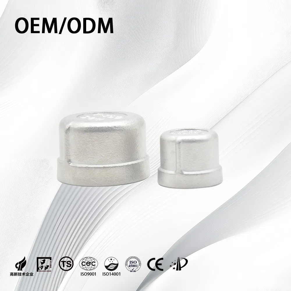 Stainless Steel End Cap ANSI B16.9 ASME B16.9 Sch80/Threaded/Butt Weld/Pipe Fitting