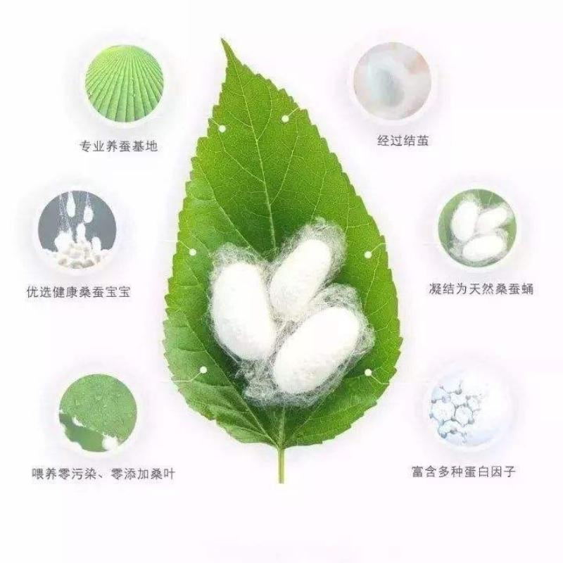 100% Pure Hydrolyzed Silk Protein Silk Amino Acids 90% White Powder