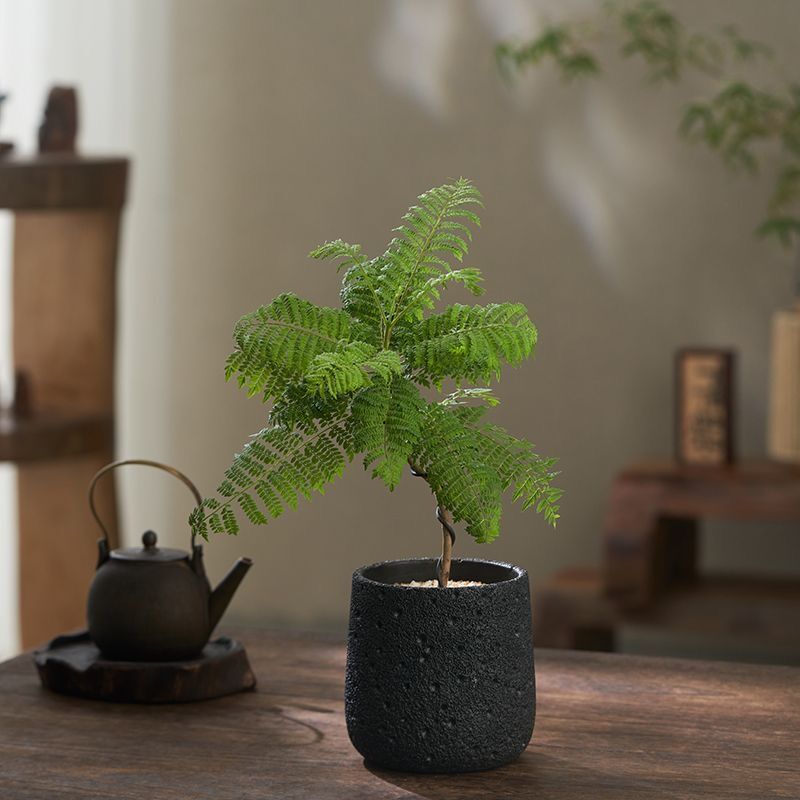 Горшок цветочный вулканический камень