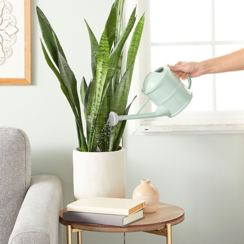 Customized 1.5L Multifunctional Lightweight Plastic Gardening Supplies Garden Furniture Tool Watering Can