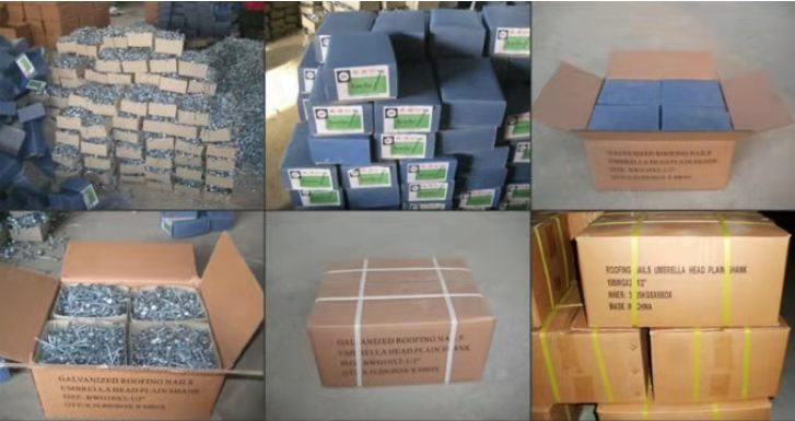 Twist Umbrella Roofing Nails /Roofing Nails with Washer2" 2.5" 3" 9g